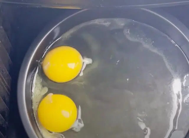 huevos en la sartén de la freidora