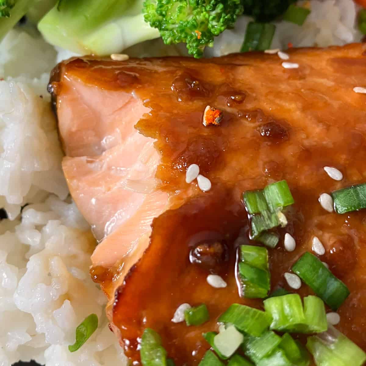 salsa salmon teriyaki